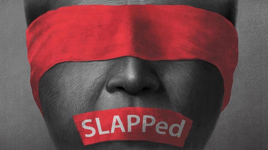 Anti-SLAPP Directive - CASE statement on the political agreement